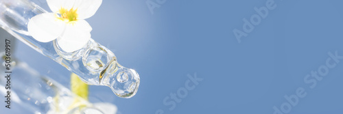 Banner with pipette with transparent liquid with white flowers around on blue mirror background. Texture of face serum or cosmetic oil. Selective focus, copy space. Beauty cosmetics photo