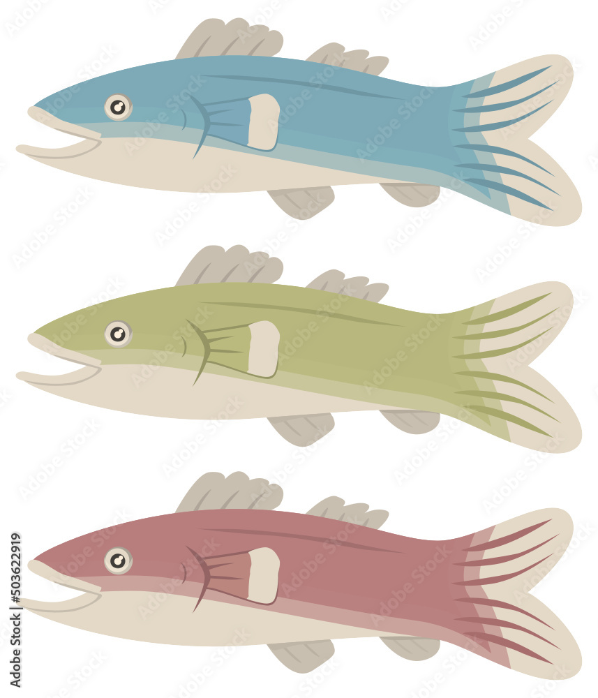 Fish animal food concept illustration template vector Fish animal food concept illustration template vector