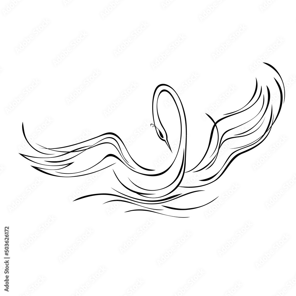 swan 46. stylized graceful Swan floating on the water. Graphic illustration in black lines on a white background swan 46. stylized graceful Swan floating on the water. Graphic illustration in black lines on a white background
