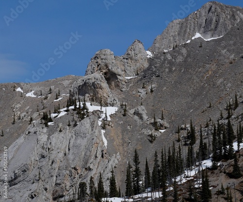 Wild Horse Ridge near Sundre Alberta photo