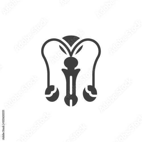 Male reproductive system vector icon