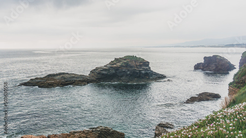  Beautiful morning in a shore with stunning cliffs and covered by colorful flowers