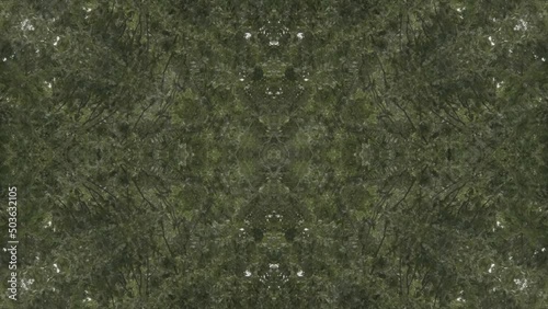 Greenery Kaleidoscope using forest imagery from Wissahickon Creek, Philadelphia, #63 photo