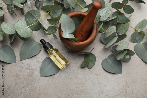 Flat lay composition with bottle of eucalyptus essential oil and plant branches on grey background