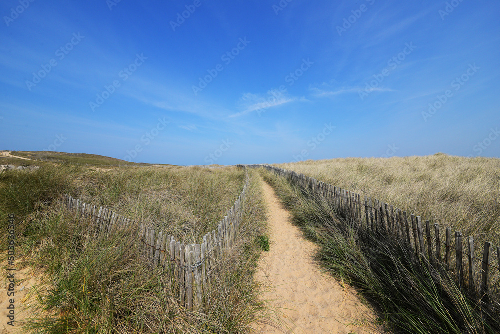 Chemin vers la plage dans les dunes