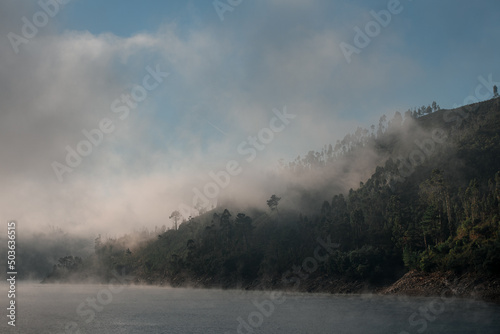 wonderful hillside covered with trees near the water covered with white haze and fog © fesenko
