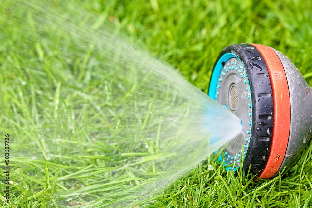 Fototapeta premium Lawn irrigation using a sprinkler