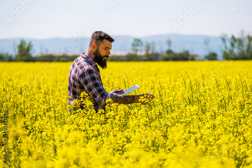 Tableau sur toile Farmer is standing in his blooming rapeseed field and examining the progress of crops