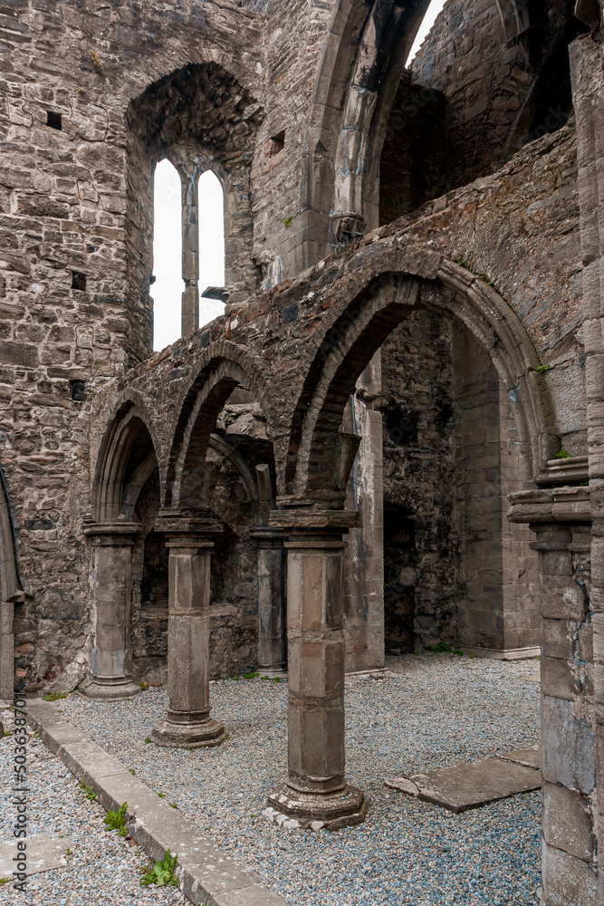 View of the Sligo abbey in Ireland