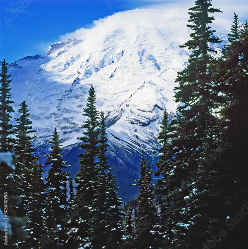 Mt.Rainier, Washington