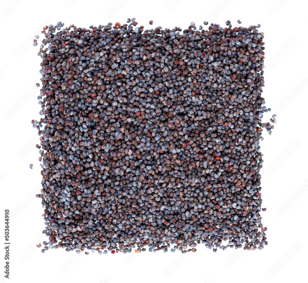 Poppy seeds isolated on white background. Organic spice blue confectionery poppy. Top view. Poppy seeds isolated on white background. Organic spice blue confectionery poppy. Top view.