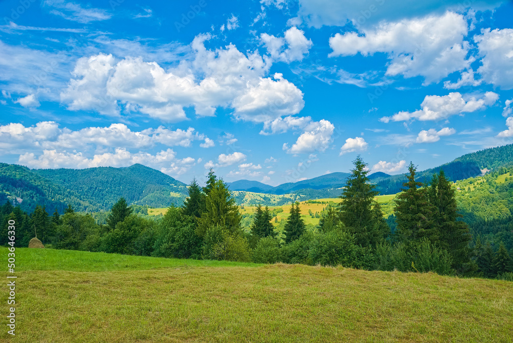 mountain landscape. the glade is covered with grass on top of the mountains with blue skies and clouds. mountain landscape. green background.