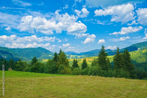 mountain landscape. the glade is covered with grass on top of the mountains with blue skies and clouds. mountain landscape. green background.