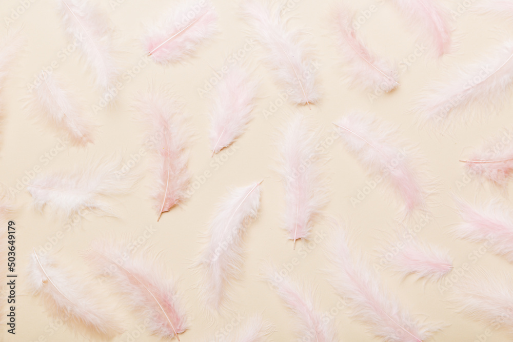 Fototapeta premium Close up to bright colorful feathers background. Colored feather background, top view