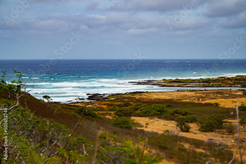 Oahu Landscapes and flower