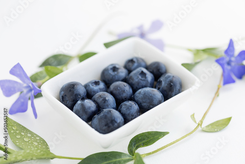 blueberries on a white square plate on white background