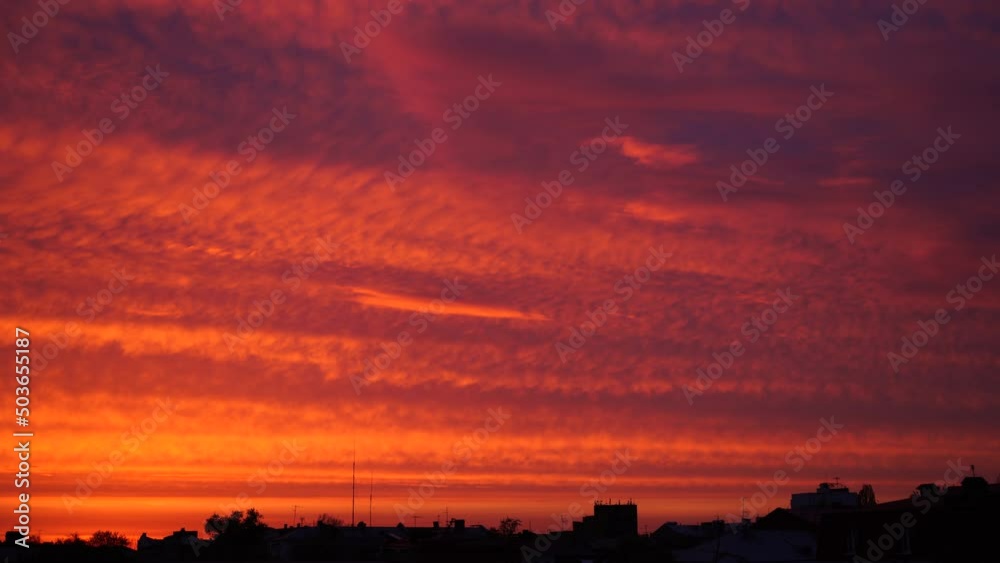 evening city landscape. silhouettes of buildings against a cloudy sky. bright colors panorama evening city landscape. silhouettes of buildings against a cloudy sky. bright colors panorama