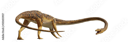 Tanystropheus, extinct reptile from the Middle to Late Triassic period, isolated on white background banner photo