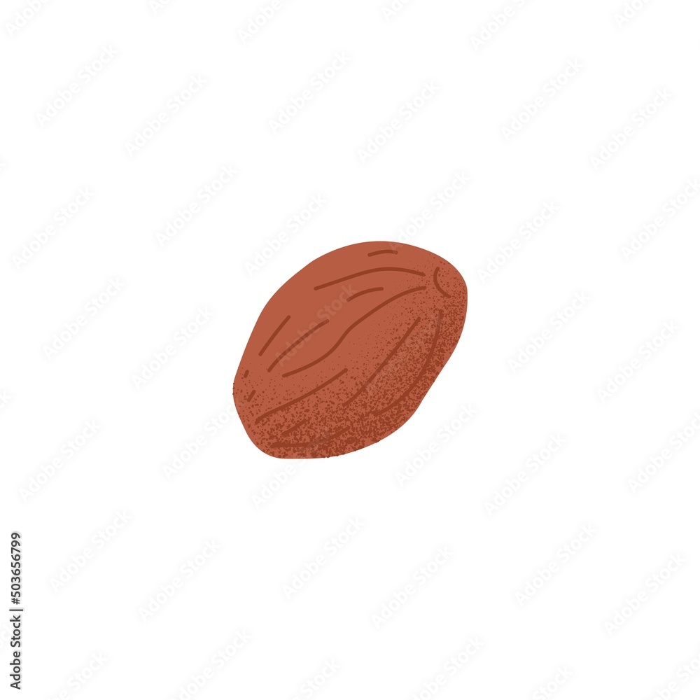 Raw fresh peeled almond. Ripe nuts kernel. Dry crunchy snack. Protein vegan food. Healthy nutrient. Stylized, Flat vector illustration isolated on white background Raw fresh peeled almond. Ripe nuts kernel. Dry crunchy snack. Protein vegan food. Healthy nutrient. Stylized, Flat vector illustration isolated on white background