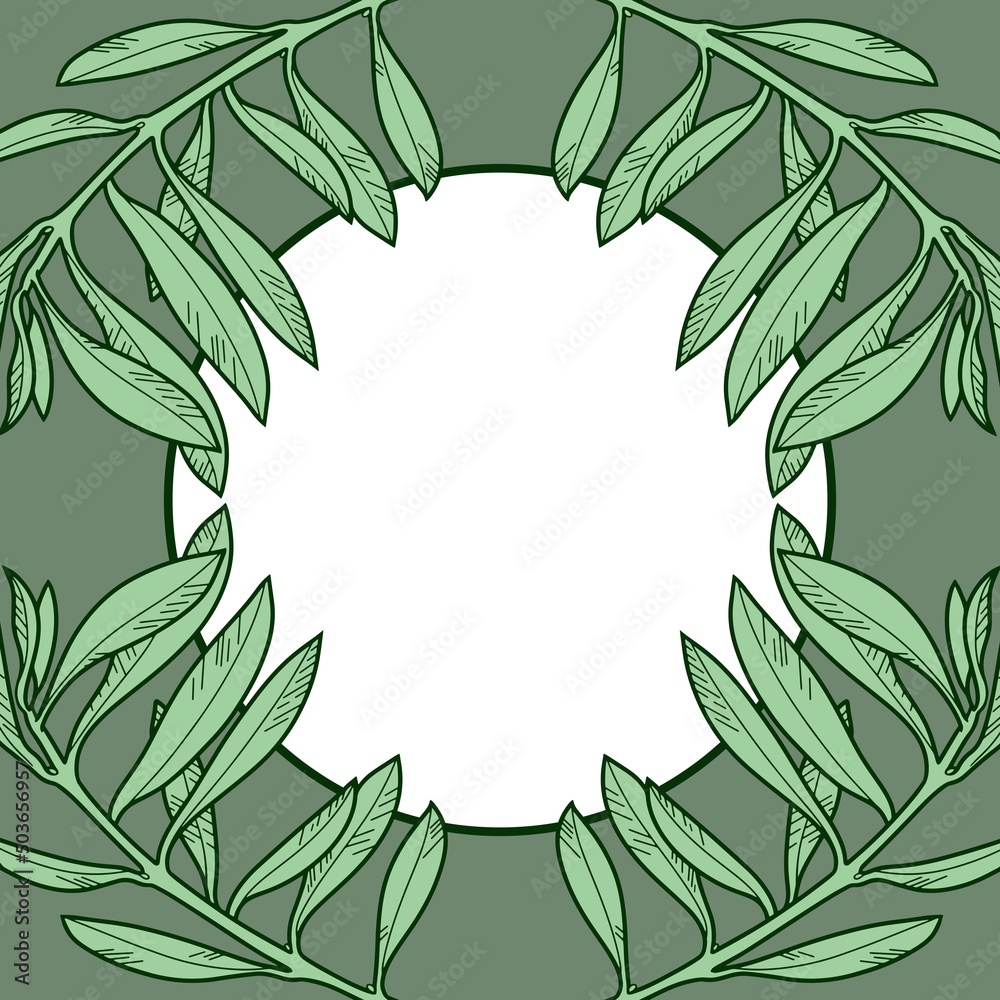 Fototapeta premium A square banner with green olive branches. Vector illustration with a round empty space for text.