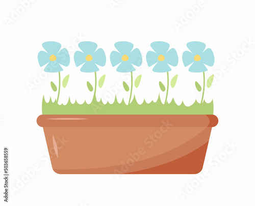 Potted indoor flowers on a white background. Ready-made object for use in mobile app, banner, coloring book, book illustration. Light blue chamomiles in brown pot