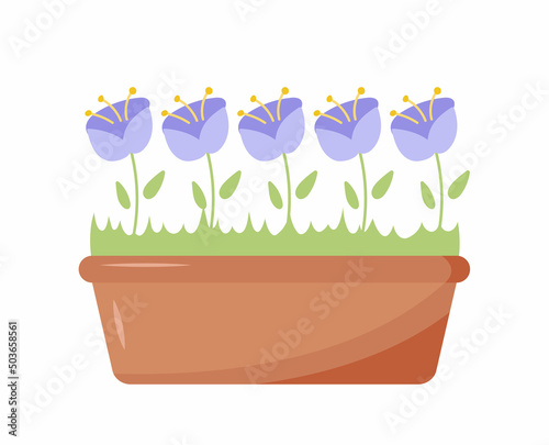 Cute spring flowers in pot vector. Flower spring, flower pot, floral plant, nature flower blossom, bellflowers illustration. Home and office interior design elements