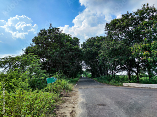 Vibrant Springtime Scenic View of asphalt road connected to the countryside area  big tree covered road like tree tunnel.Farmland in the both side of the road at Gulbarga  Karnataka  India.