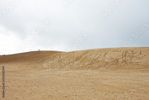 Fototapeta Naklejka Na Ścianę i Meble -  sand dunes in the desert