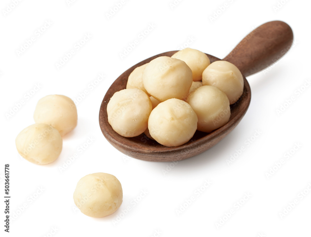 Shelled Macadamia nuts in the wooden spoon, isolated on white background. Shelled Macadamia nuts in the wooden spoon, isolated on white background.