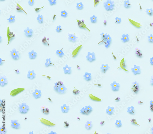 Seamless floral pattern of spring forget-me-not flowers buds and leaves on blue background top view flat lay