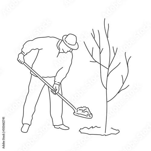 Man, volunteer, gardener plant tree.