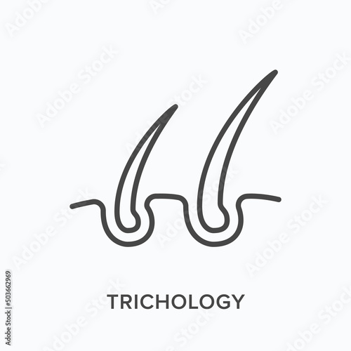 Trichology flat line icon. Vector outline illustration of skin and hair follicle. Black thin linear pictogram for dermatology