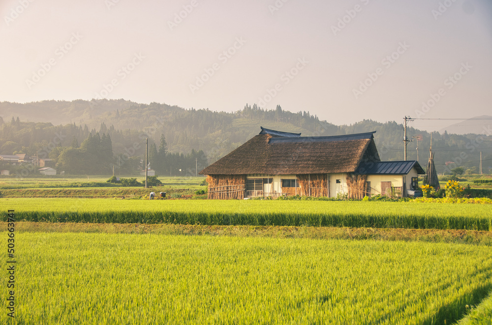 秋の田園風景 秋の田園風景