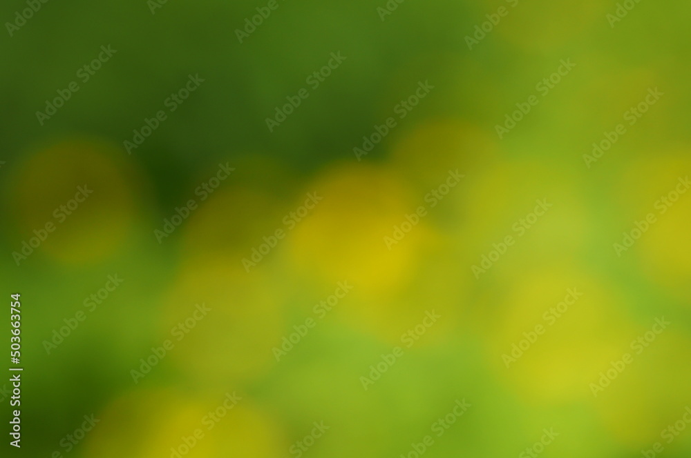 Blurred background. Green flowers and leaves in the grove. Background image. Blurred background. Green flowers and leaves in the grove. Background image.
