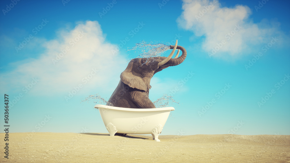 Elephant inside a bath tube in the desert. - obrazy, fototapety, plakaty 