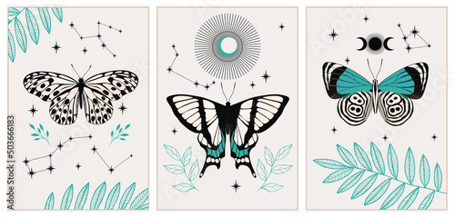 Esoteric wall art vector set. Artistic drawing of the foliage line with an abstract shape and butterflies. Plant art design for printing, cover art, wallpaper.