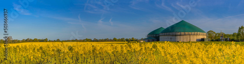 Panorama view of countryside with biogas plant. Yellow flowering rapeseed field with agricultural factory in the countryside. Renewable energy from biomass. 