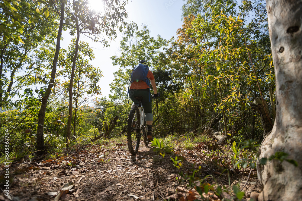Mountain biking in spring forest