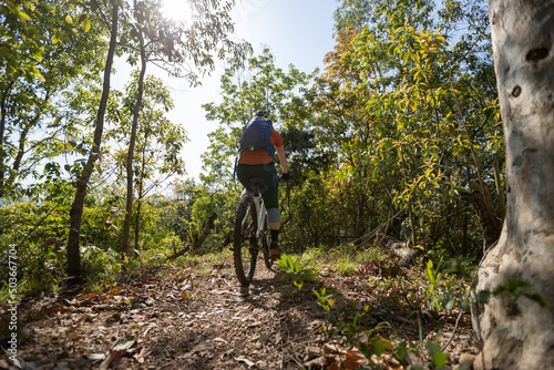 Mountain biking in spring forest