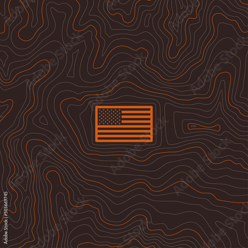 Vector background with texture topographic contour line, isolines with USA flag inside. Isolated on white background.