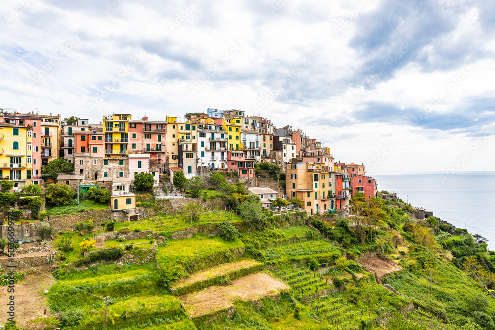 Fototapeta premium , Cinque Terre, Liguria, Italy