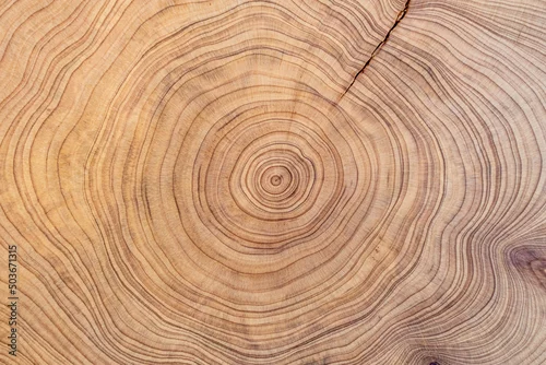 Panel kuchenny z motywem wood cut texture