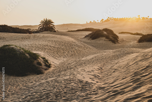 sand dunes in the desert