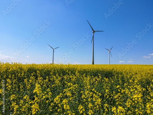 Rapsfeld mit Windrädern im Frühling