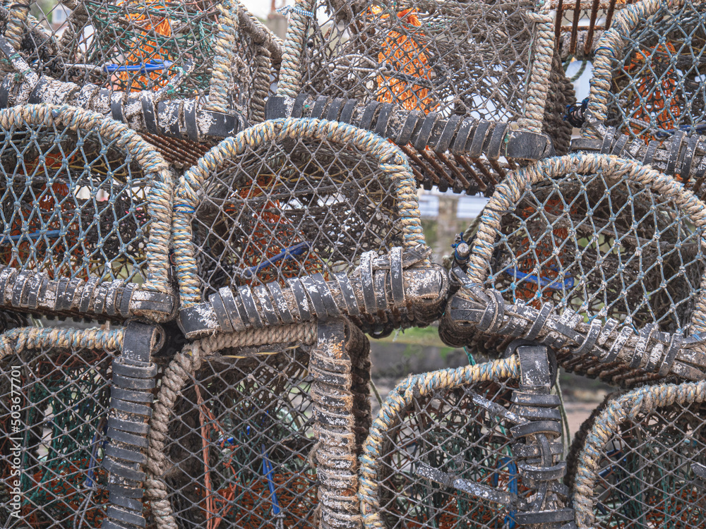 Empty Crab and Lobster Pots Empty Crab and Lobster Pots