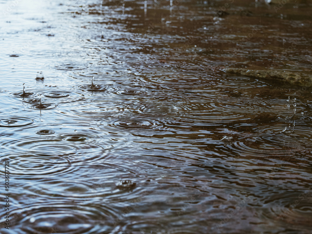 Raindrops in a puddle Raindrops in a puddle