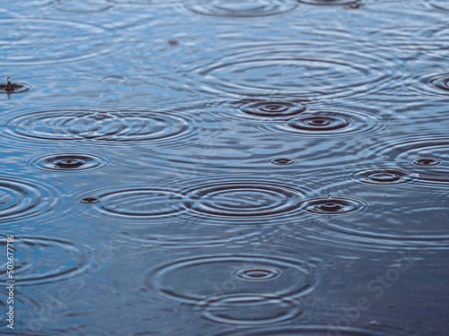 Raindrops in a puddle