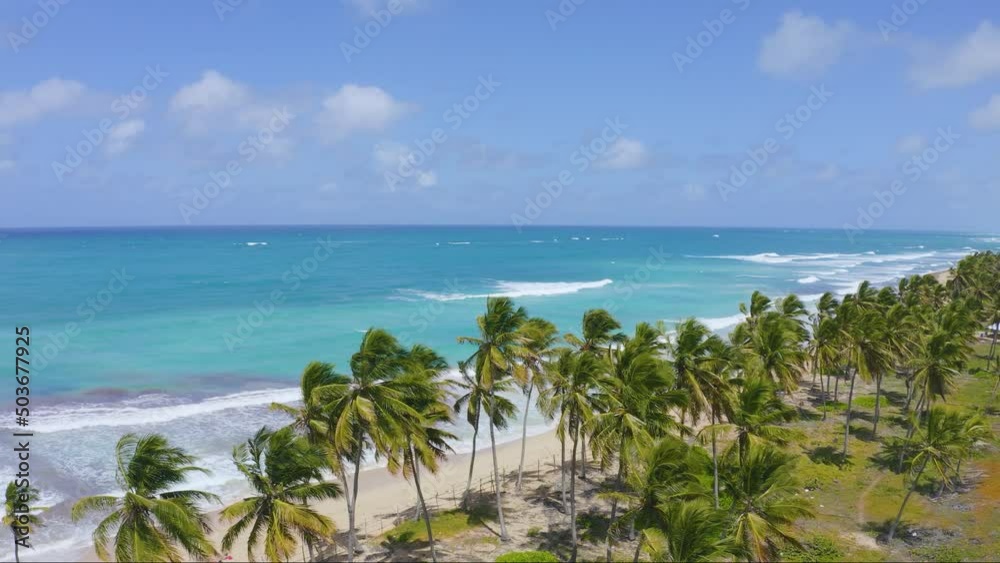 Green palms on the sea beach on a sunny summer day. Turquoise ocean off the tropical coast. Journey to a tropical paradise. Seascape of a wild beach. Summer, sea and white sand for outdoor relaxation. Green palms on the sea beach on a sunny summer day. Turquoise ocean off the tropical coast. Journey to a tropical paradise. Seascape of a wild beach. Summer, sea and white sand for outdoor relaxation.