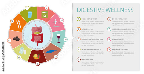 Benefits for digestive wellness.9 guidelines for its improvement such as drinking water, healthy diet, sport, exercise ... with icons .flat vector illustration eps 10