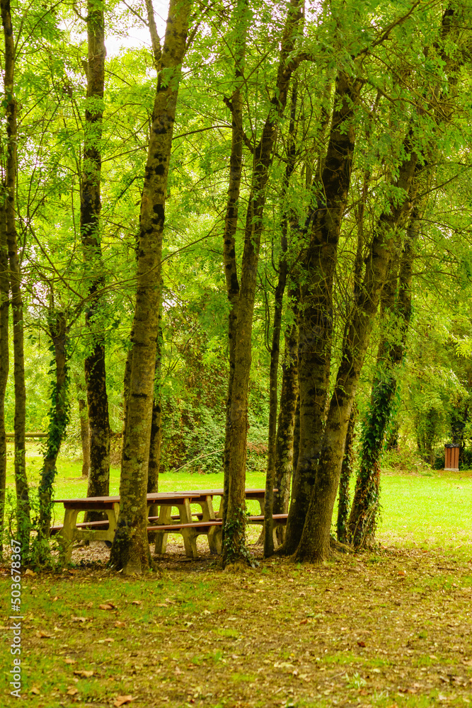 Camp site with picnic table in green park Camp site with picnic table in green park